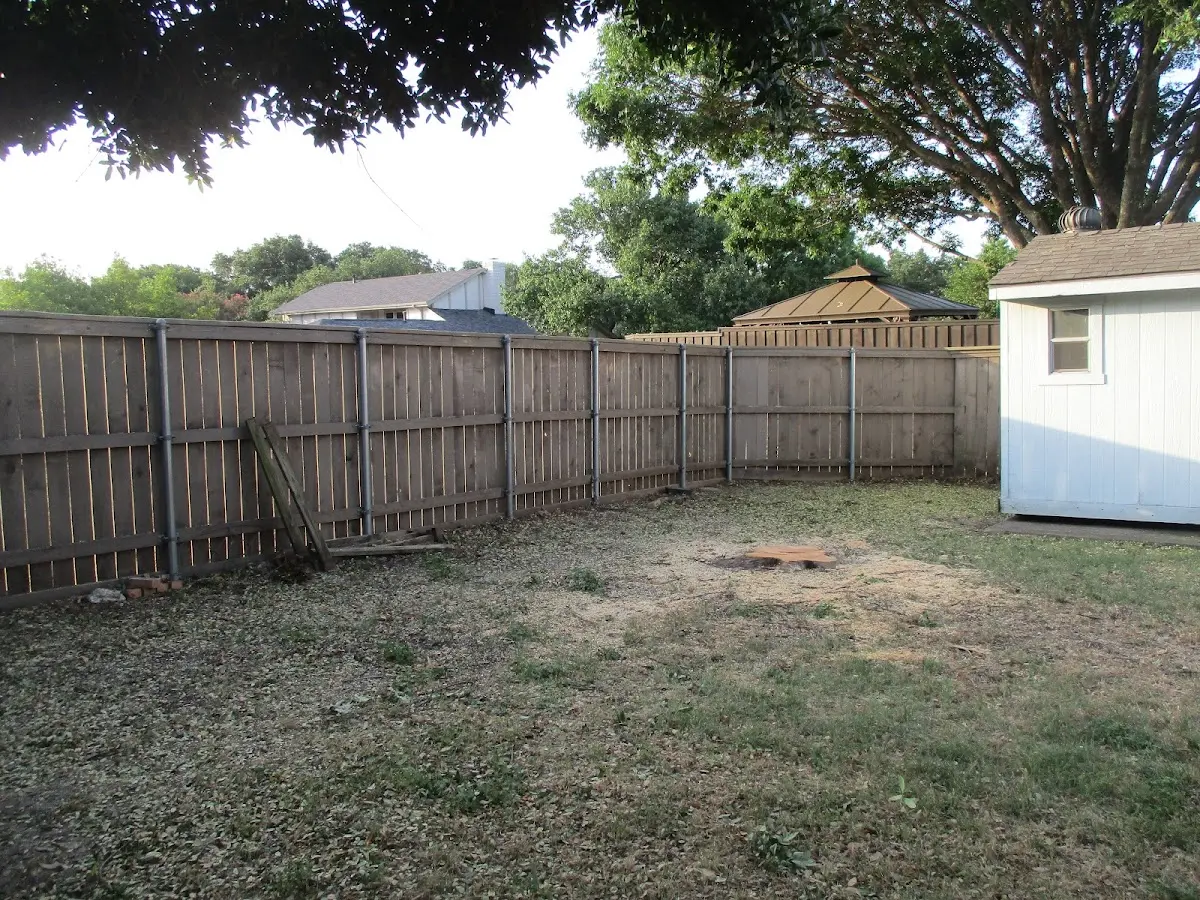 Cleared yard after professional tree removal in Red Feather Lakes